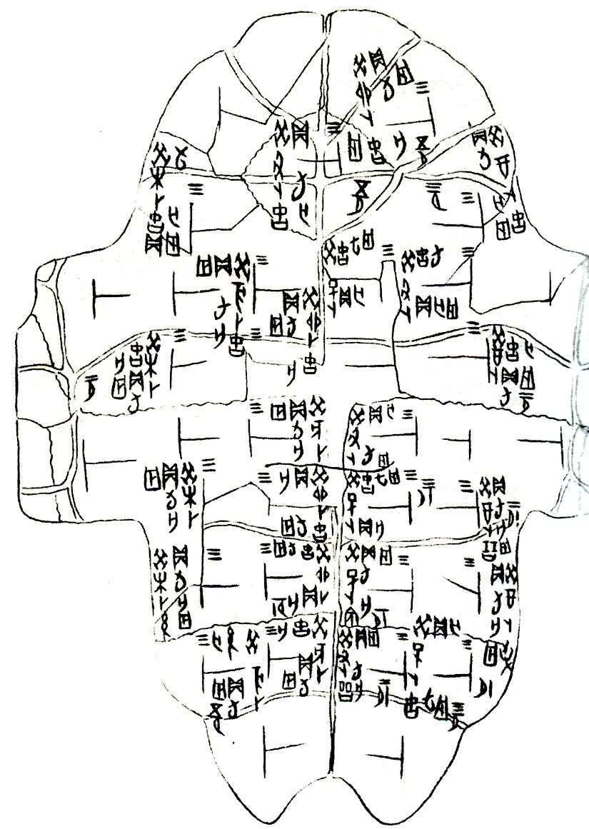 Plastron de carapace de tortue (numéro d'inventaire : jia Plastron de carapace de tortue (numéro d'inventaire : jia